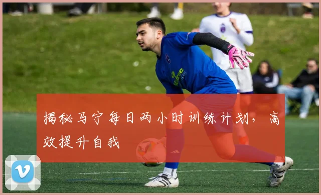 揭秘马宁每日两小时训练计划,高效提升自我